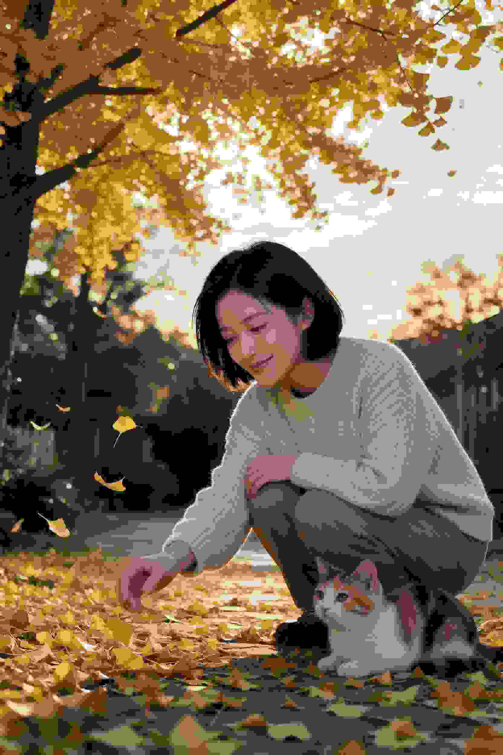 狗狗的梦乡
